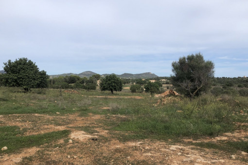 Terreno