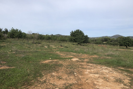 Terreno
