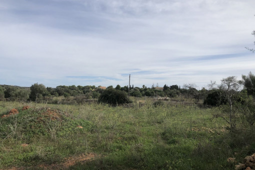 Terreno