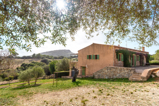 Finca