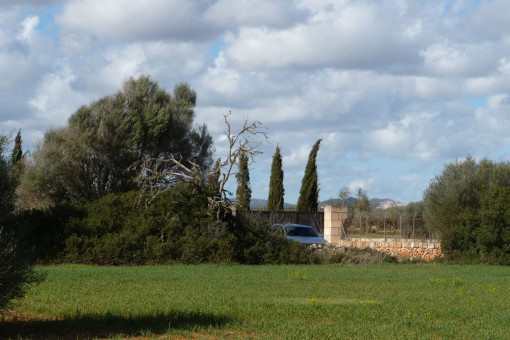 Terreno edificable