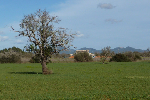Terreno edificable
