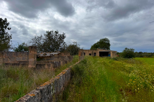 Finca Projecto Campos