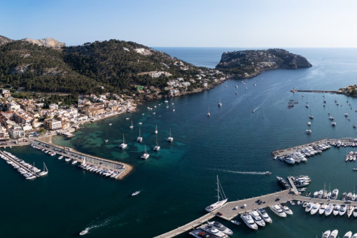 Harbor views