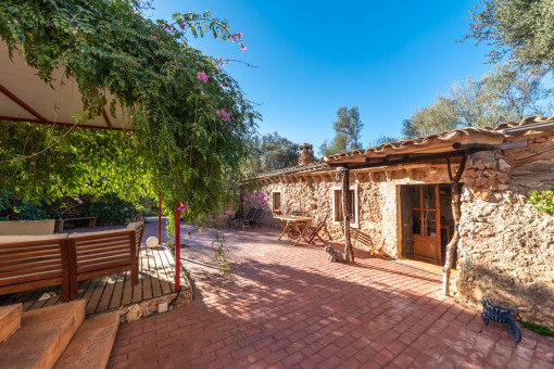 Terraza