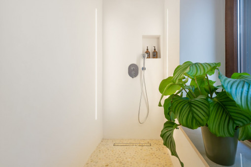 Apartamento 2