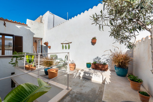 Terraza