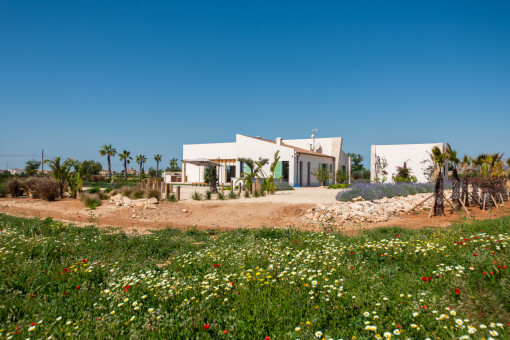 Finca de nueva construcción con piscina