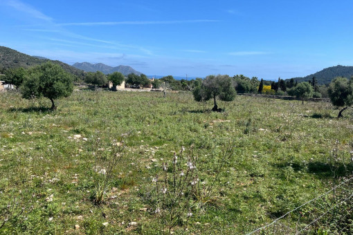 Parcela edificable en ubicación privilegiada, a poca distancia de la costa en Son Servera
