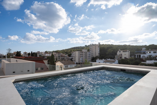 Apartamento en Son Armadams