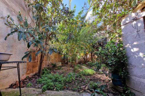 Jardín