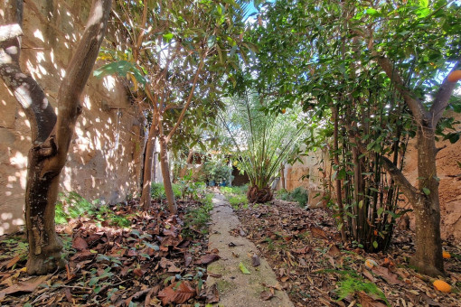 Jardín