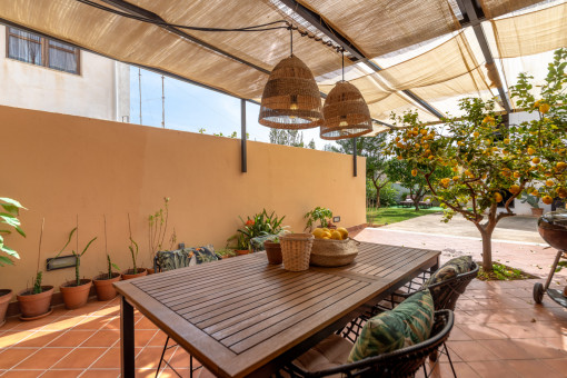Terraza