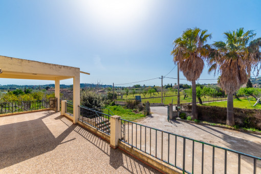 Terraza