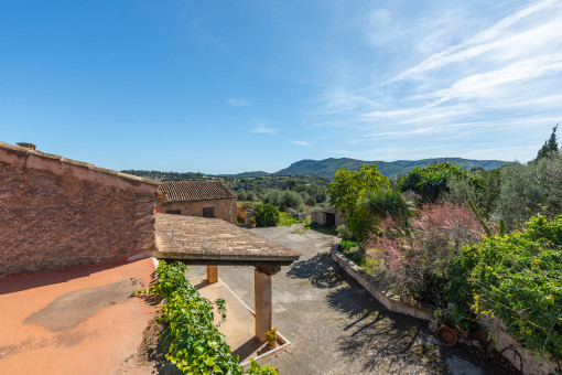 Vista