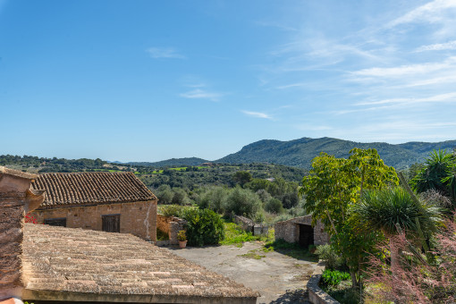 Vista