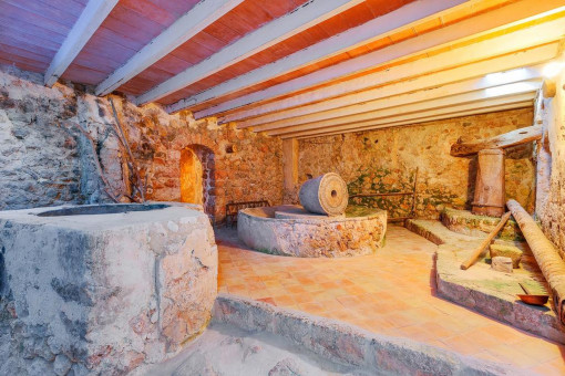 Cellar