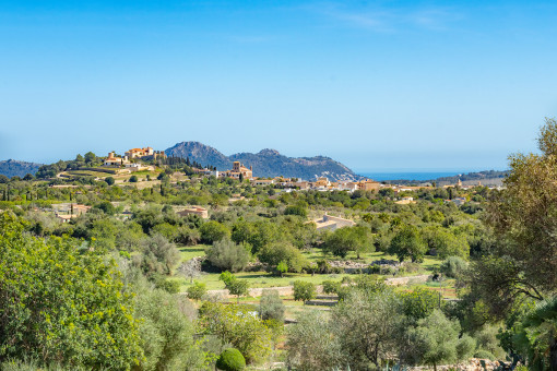 Vistas panorámicas