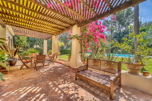Terraza