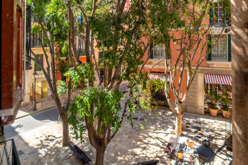 Apartamento en Palma de Mallorca Casco Antiguo
