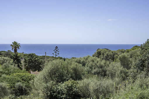 Vistas al mar
