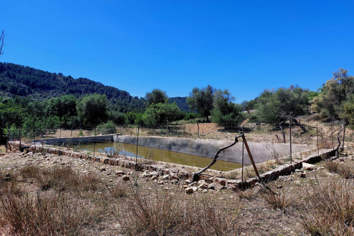 Terreno con project