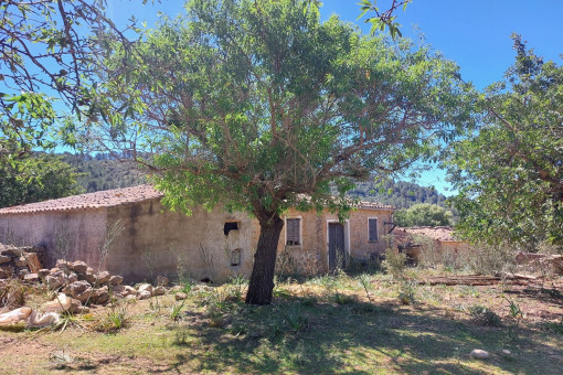 Proyecto de finca en un paisaje montañoso de ensueño con vistas a la montaña cerca de Alaró