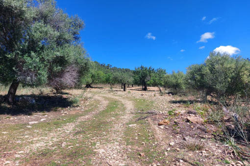 Entrada a la finca