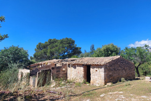 Terreno con project