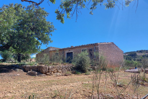 Terreno con project