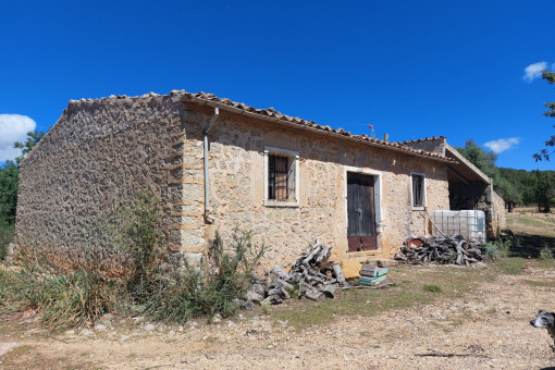 Terreno con project