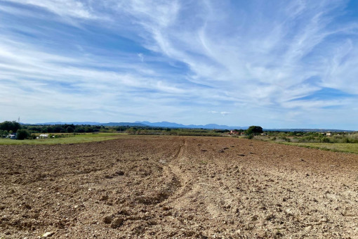 Solar en Son Macia para vender