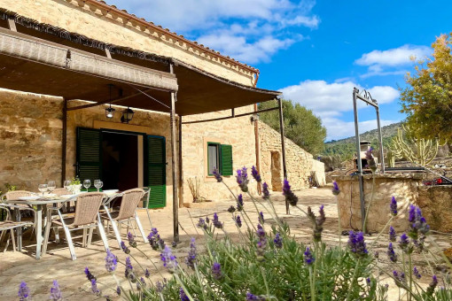 Terraza