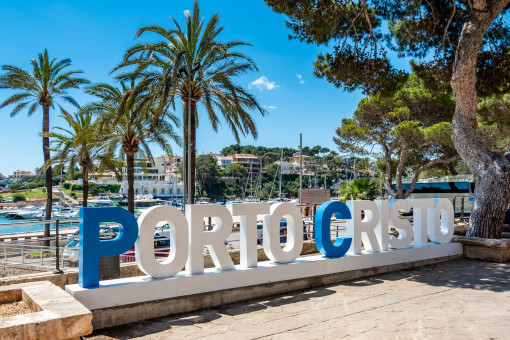 Paseo del puerto