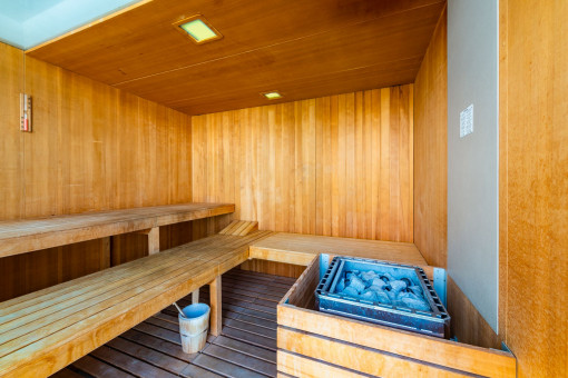 Sauna comunitaria