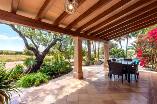 Terraza