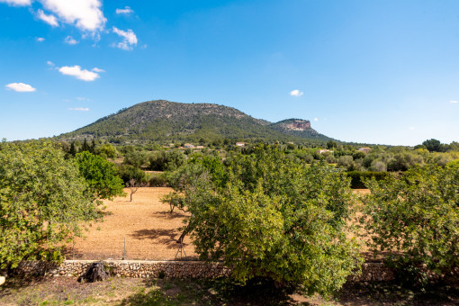 Rodeado de naturaleza