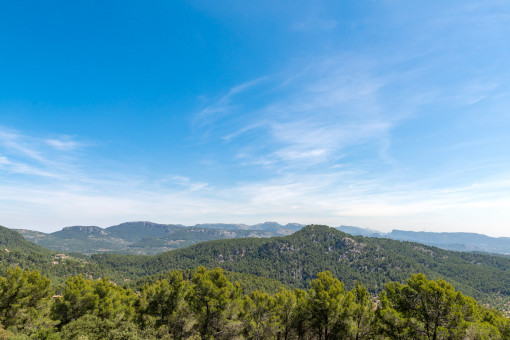 Vistas