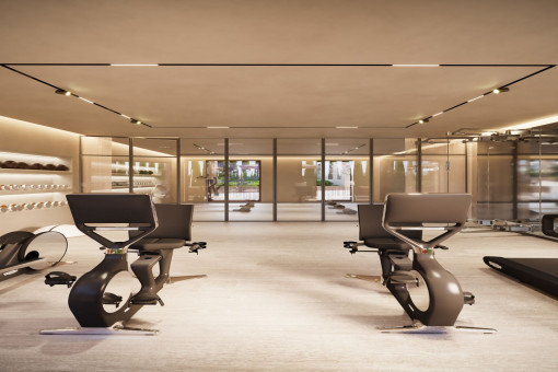 Gimnasio