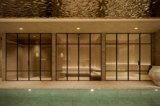 SPA y piscina