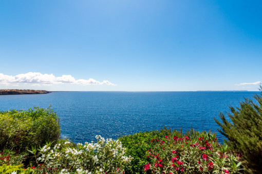 Vistas