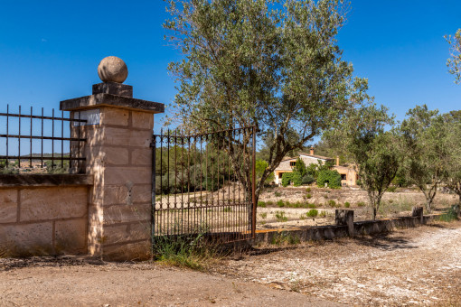 Entrada