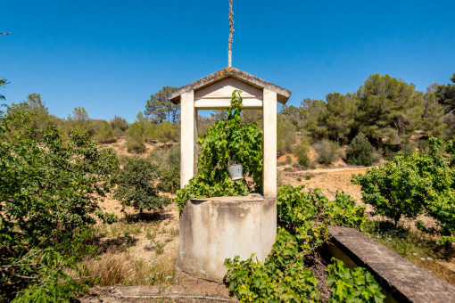 Fuente