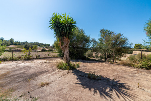 Jardín