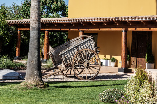 Jardin