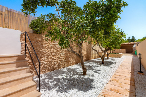 Patio con arboles