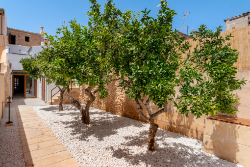 Patio mallorquin