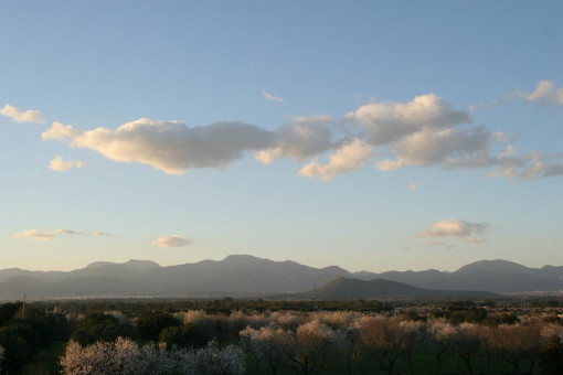 Vistas