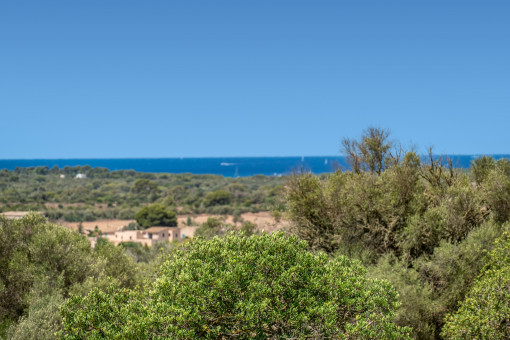 Vistas al mar
