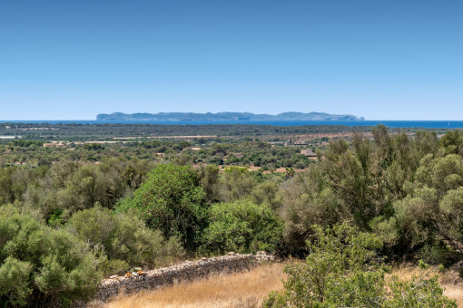Vista a Cabrera